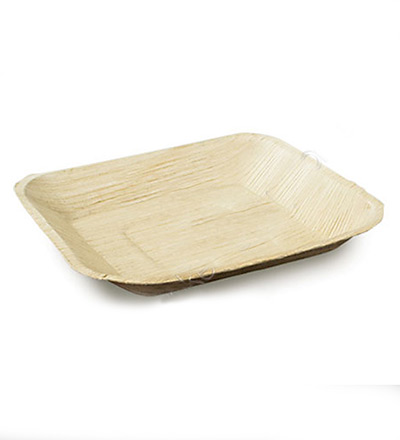 Bioplate 170mm Square Plate
