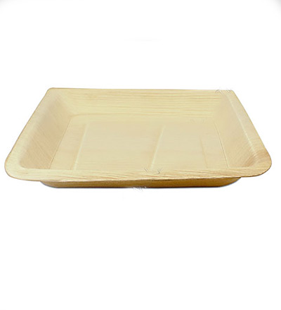 Bioplate 240mm Square Plate