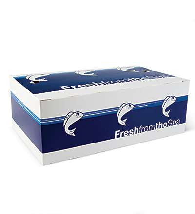 Large Fish & Chip Box 250x150x90 Ctn 250