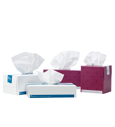 Livi Essentials Facial Tissue 100s
